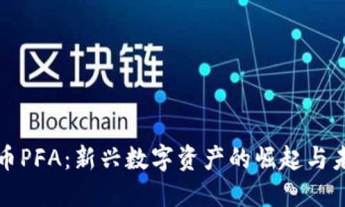 加密货币PFA:新兴数字资产的崛起与未来展望