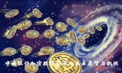 中央银行加密数字货币的未来展望与挑战