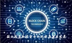 国内交易加密货币的现状与未来发展