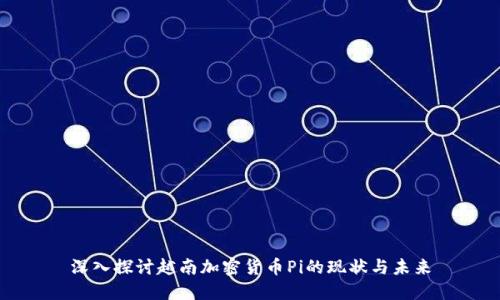 深入探讨越南加密货币Pi的现状与未来