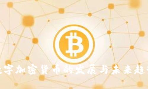 数字加密货币的发展与未来趋势