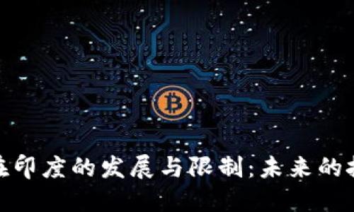 加密货币在印度的发展与限制:未来的挑战与机遇