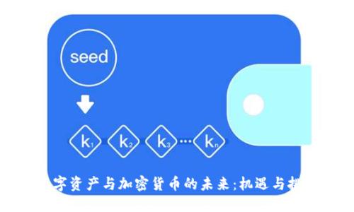 数字资产与加密货币的未来:机遇与挑战