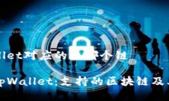 tpWallet对应的是哪个链探讨tpWallet：支持的区块链