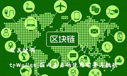 及关键词

tpWallet：国内未来的使用前景与挑战