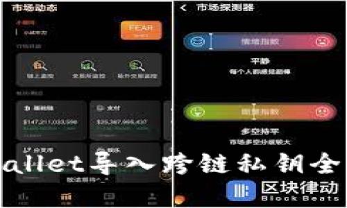 tpWallet导入跨链私钥全指南