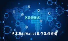 中本聪tpWallet操作流程详解