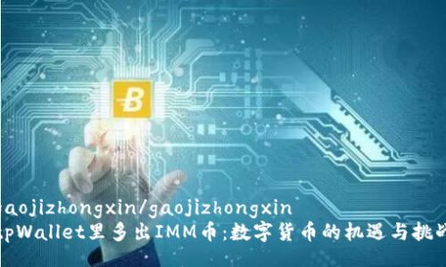 gaojizhongxin/gaojizhongxin  
tpWallet里多出IMM币：数字货币的机遇与挑战
