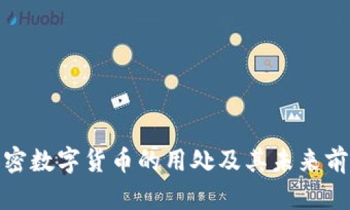 加密数字货币的用处及其未来前景