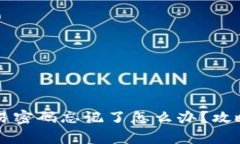 tpWallet交易密码忘记了怎么办？攻略与解决方案