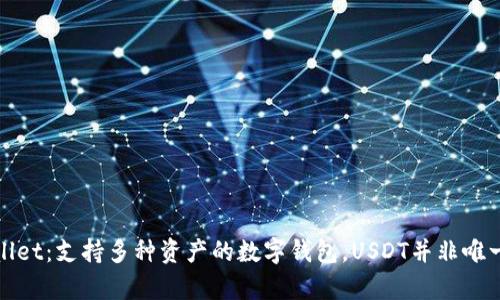 tpWallet:支持多种资产的数字钱包,USDT并非唯一选择