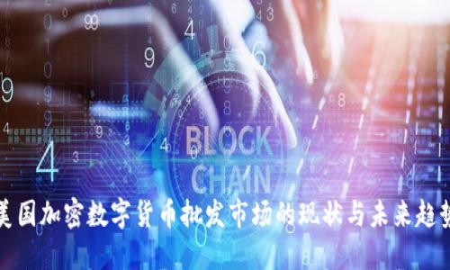 美国加密数字货币批发市场的现状与未来趋势