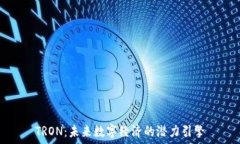 TRON:未来数字经济的潜力引擎