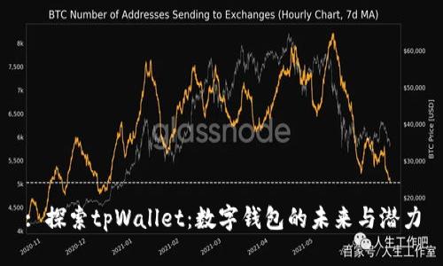 : 探索tpWallet:数字钱包的未来与潜力