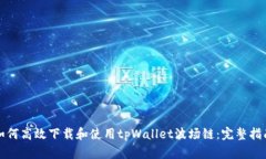 如何高效下载和使用tpWallet波场链:完整指南
