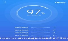 探索tpWallet:在BSC区块链上的数字资产管理工具