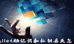tpWallet助记词和私钥丢失怎么办?