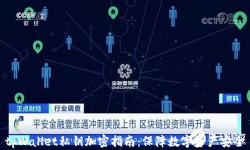 tpWallet私钥加密指南:保障数字资产安全