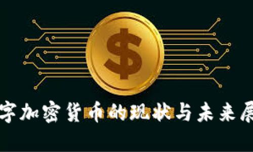 数字加密货币的现状与未来展望