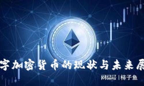数字加密货币的现状与未来展望