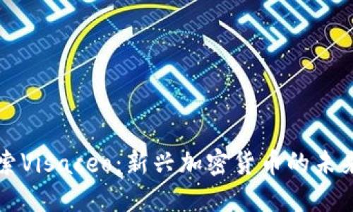 深入探索Visaceo:新兴加密货币的未来与挑战