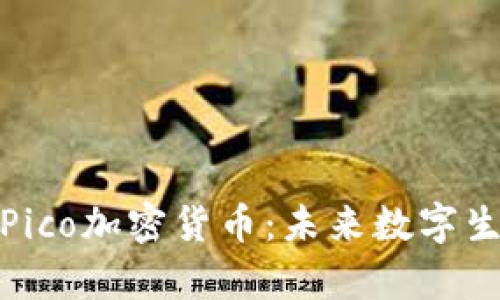 深入解析Pico加密货币:未来数字生态的先锋