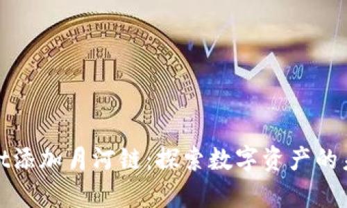 tpWallet添加月河链:探索数字资产的未来之路