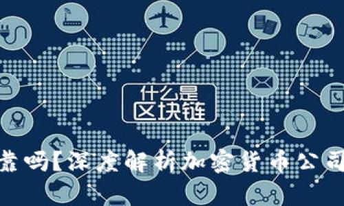 加密货币公司可靠吗?深度解析加密货币公司的信任度与风险