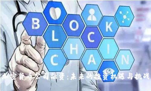 加密货币公司融资:未来的投资机遇与挑战