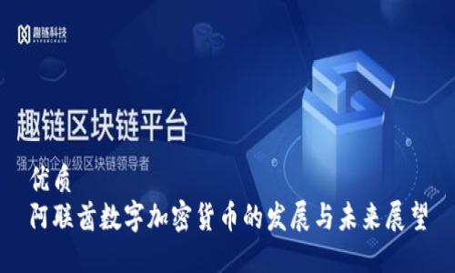 优质
阿联酋数字加密货币的发展与未来展望