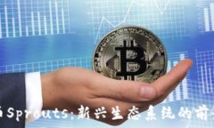 加密货币Sprouts:新兴生态系统的前景与挑战
