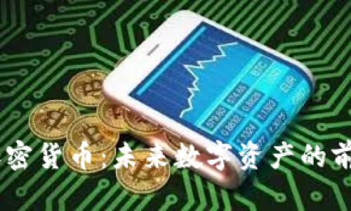 Matrix加密货币:未来数字资产的前景与挑战