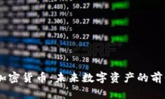 Matrix加密货币:未来数字资产的前景与挑战