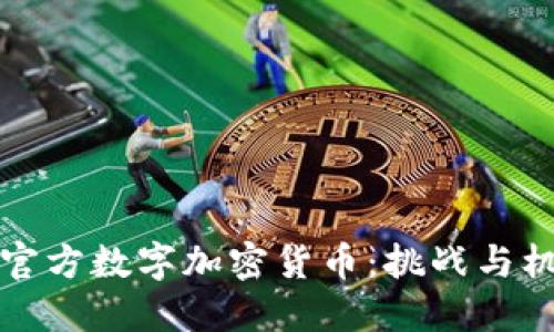 非官方数字加密货币:挑战与机遇