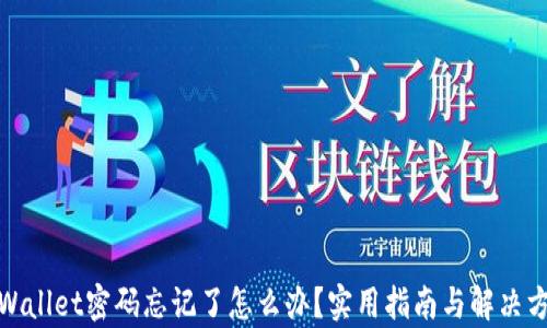 tpWallet密码忘记了怎么办?实用指南与解决方案