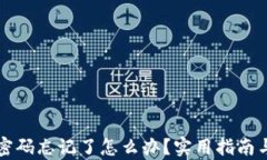 tpWallet密码忘记了怎么办?实用指南与解决方案