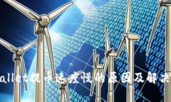 tpWallet提币速度慢的原因及解决方案