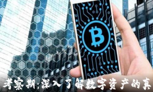 加密货币考察期:深入了解数字资产的真相与未来