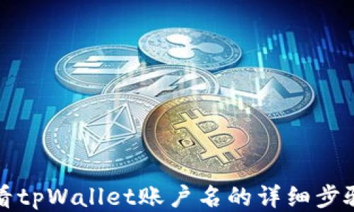 如何查看tpWallet账户名的详细步骤与技巧