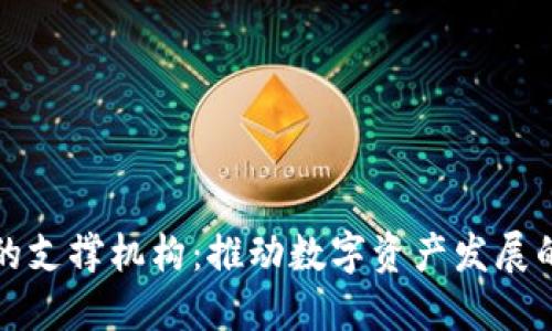 加密货币的支撑机构:推动数字资产发展的核心力量