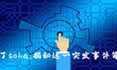 与关键词tpWallet突然多了soha:揭秘这一突发事件