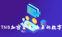 全面解析TNB加密货币:未来的数字金融亮点