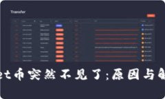 tpWallet币突然不见了:原因与解决方案