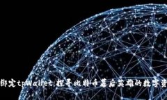 中本聪如何绑定tpWallet:探寻比特币幕后英雄的数