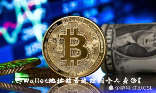 tpWallet地址能否追踪到个人身份?