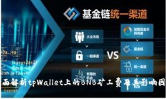 全面解析tpWallet上的BNB矿工费及其影响因素