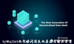 tpWallet的钱瞬间消失的原因与解决方案