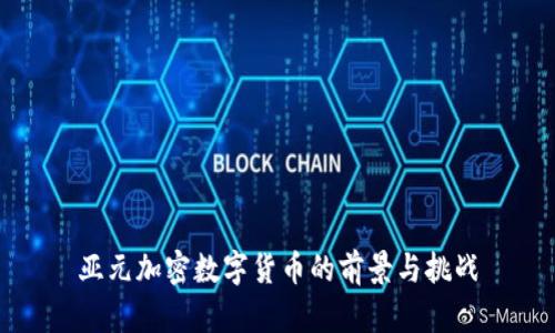 亚元加密数字货币的前景与挑战