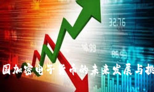 中国加密电子货币的未来发展与挑战