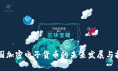 中国加密电子货币的未来发展与挑战